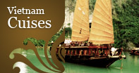 VietNam Cruises
